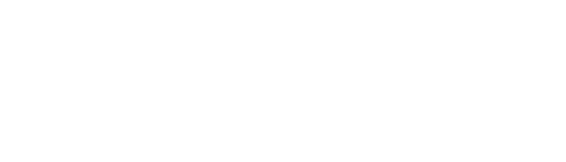 InfoVario